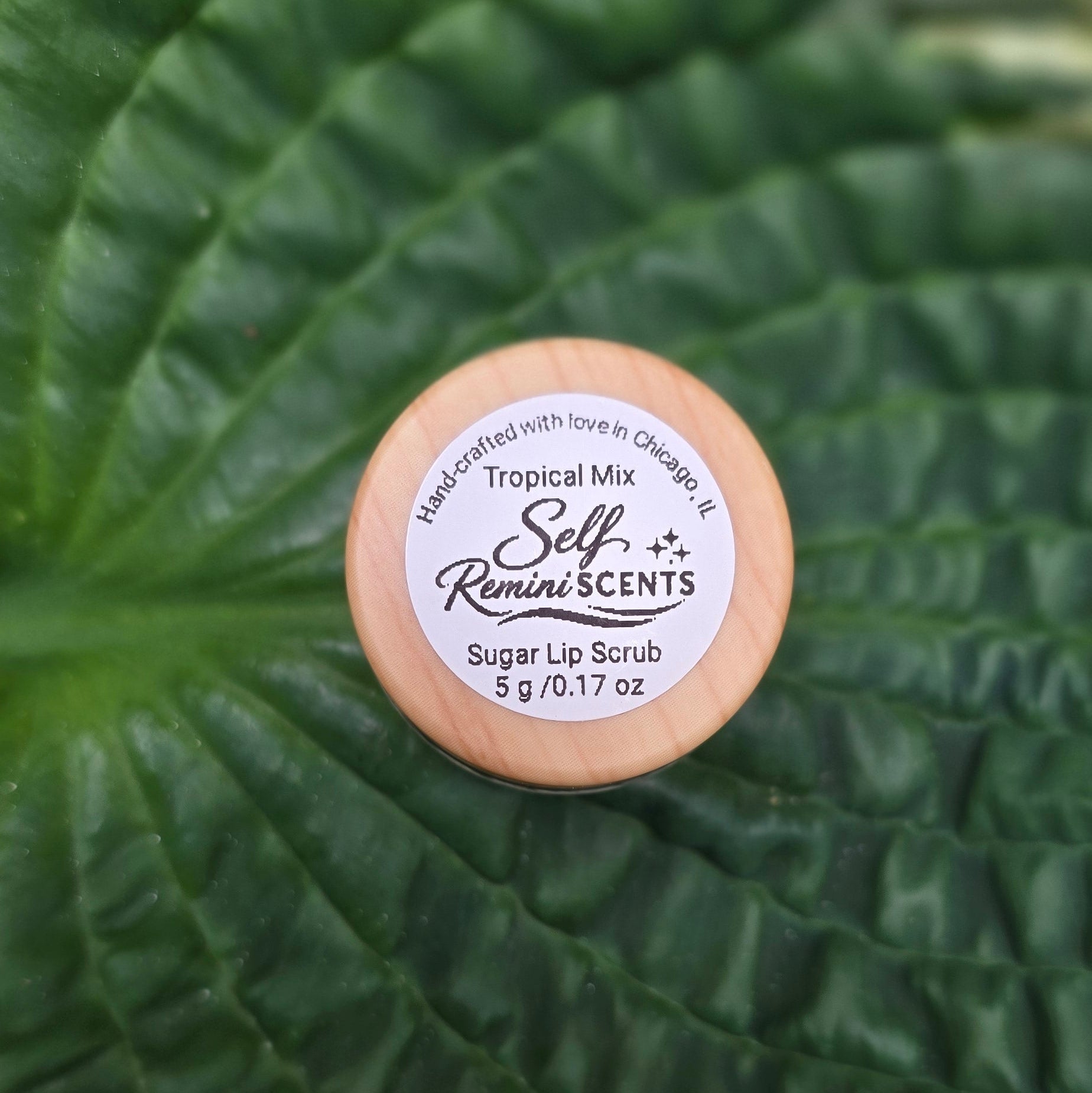Tropical Lip Scrub
