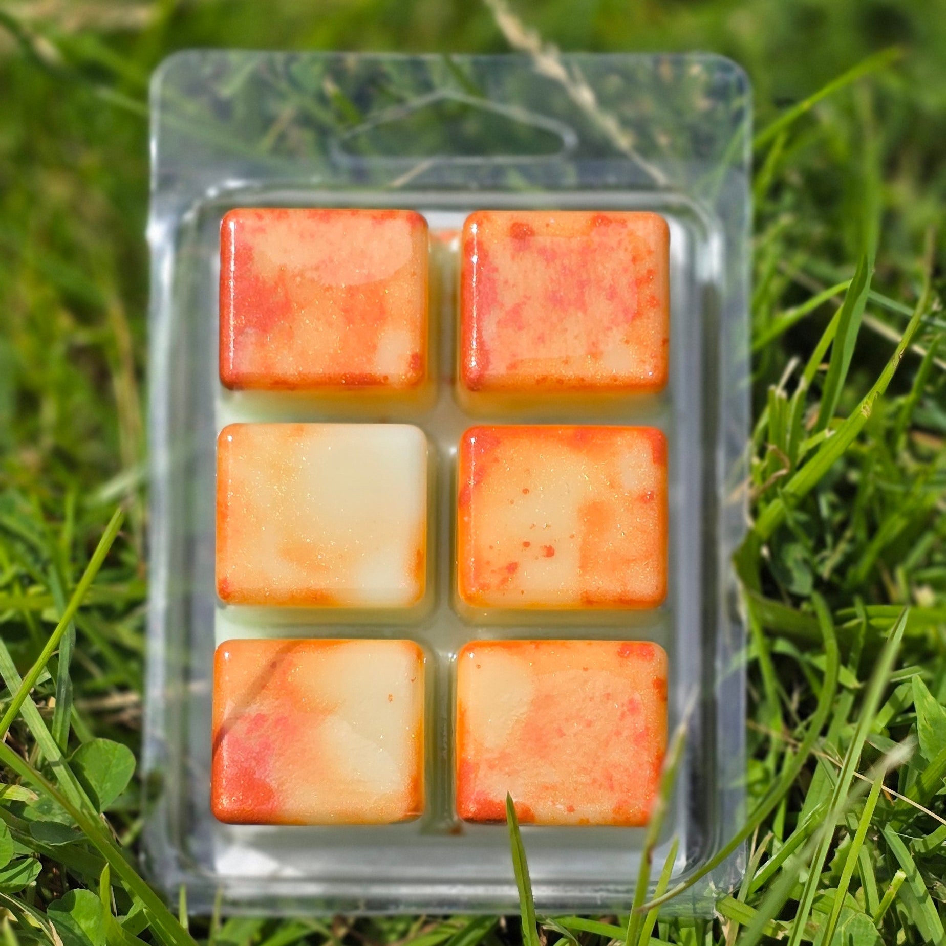 Pride After Party Soy Wax Melt