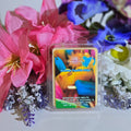 Summer Popsicle Drips Soy Wax Melt